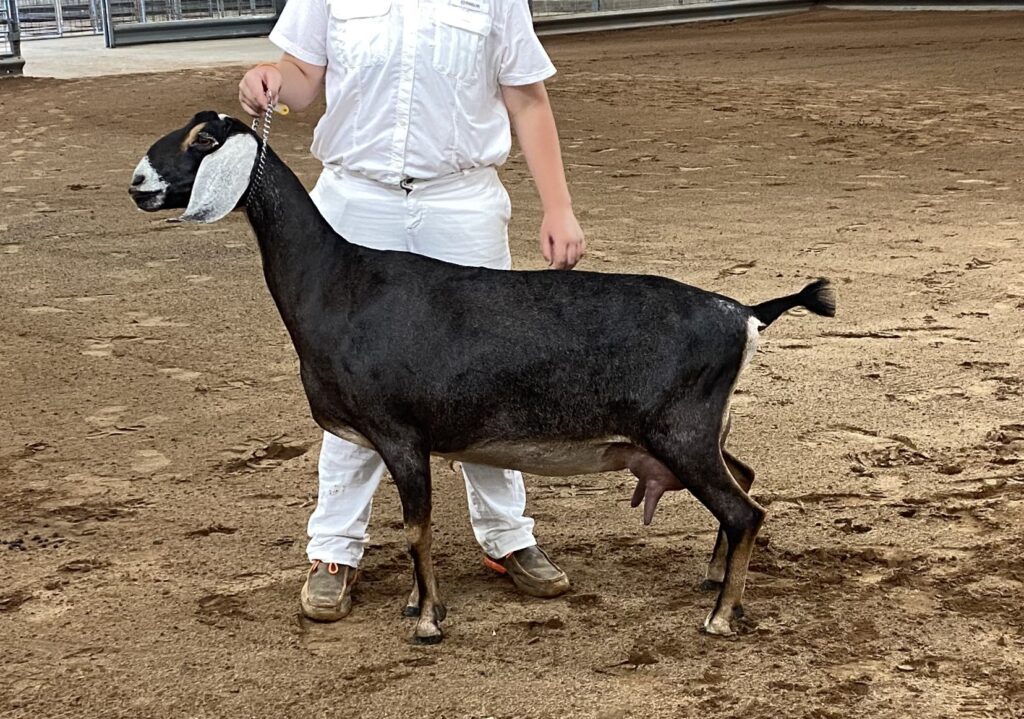 ch-pending-abaca-ckh-piper-motes-farm